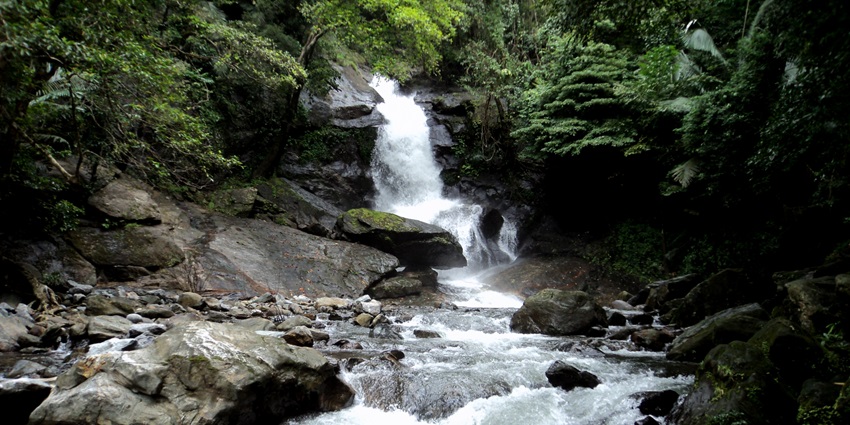 Picnics can be an amazing way to relax while enjoying the charming surroundings during the visit of these waterfalls.