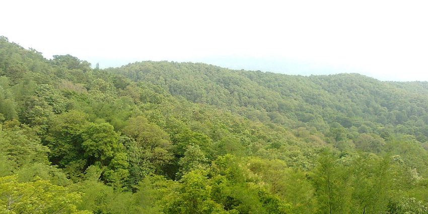 An aerial snap of scenic jungle - Pathrakadavu Waterfall in Palakkad