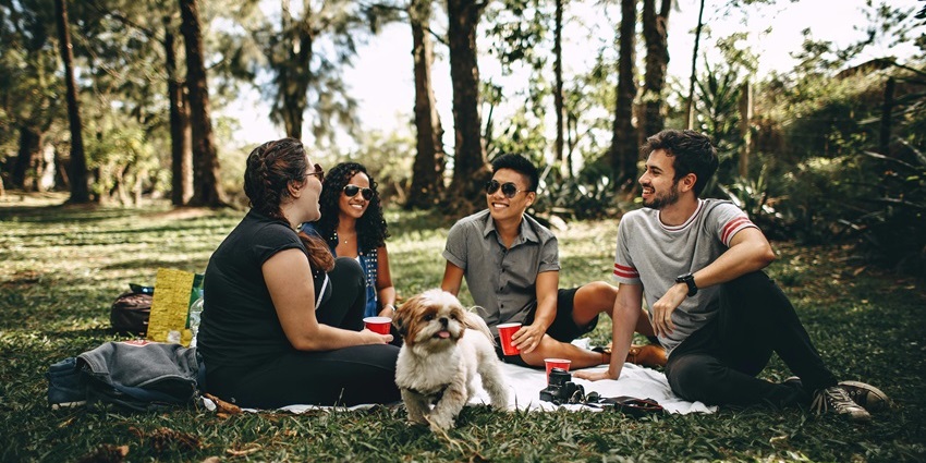 Families enjoying a sunny picnic on the lush green meadows of Doodhpathri.