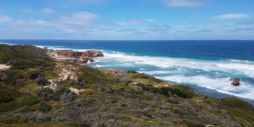 The best time to visit the Marine National Park is during the winter season.