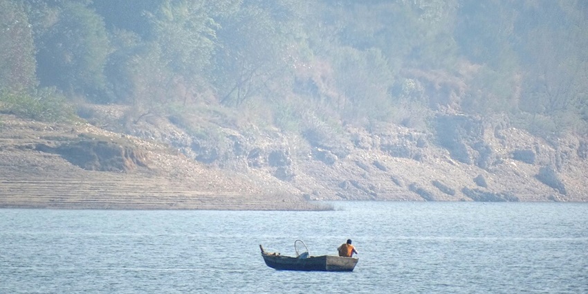 Exploring the scenic Pong Dam is one of the best things to do in Kangra, Himachal Pradesh.
