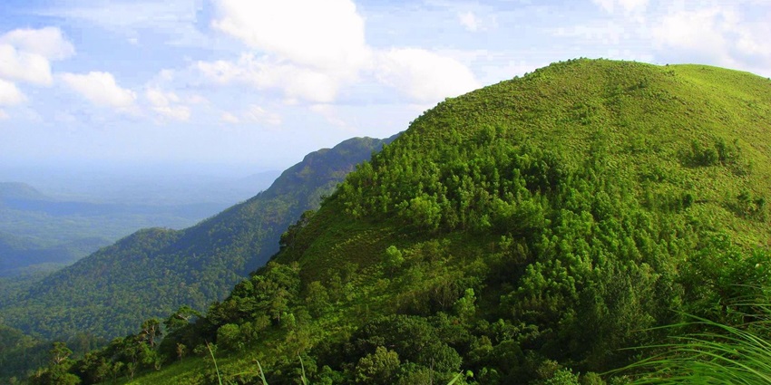 Verdant cliffs of the Ponmala hills offering a perfect sight for nature lovers