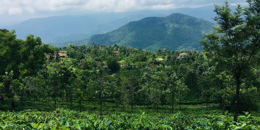 A fascinating landscape of Ponmudi surrounded by lush greenery during the daytime.