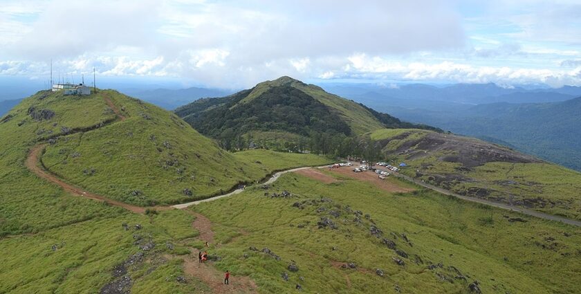 Explore the lush green landscapes of Ponmudi on your trip to Kerala, India this year.