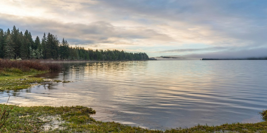 Panoramic view of Pookode lake, a spot for nature lovers to relax at