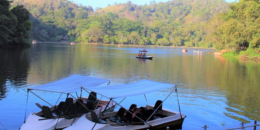 Pookode Lake is one of the most fascinating places to visit in Wayanad for nature lovers.