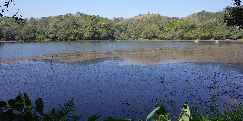 Ideal for boating activity, Pookode Lake is one of the best places to visit in Kalpetta.
