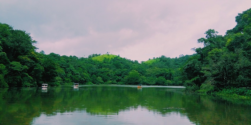 Thrilling boat ride in Pookat Lake through the jungle and majestic landscapes of Kerala