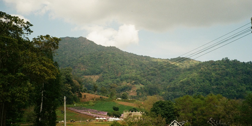 Image of a rolling hills covered with lush greenery - one of the best hill stations in Thrissur