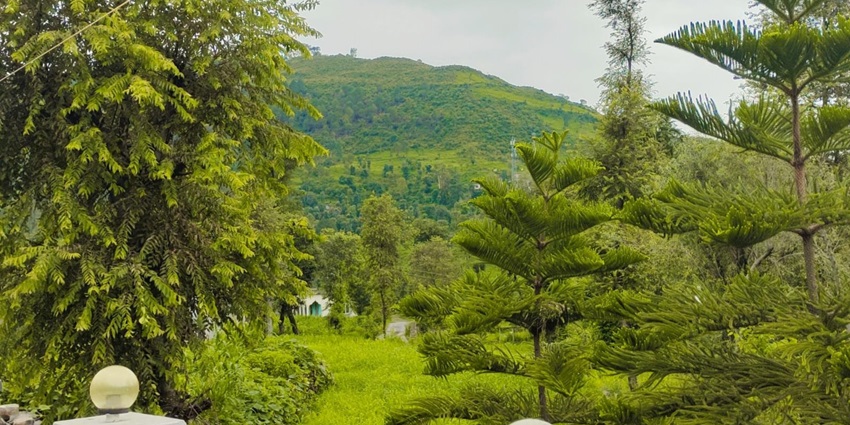 A village covered with trees, one of the best places to visit in Kashmir in February.