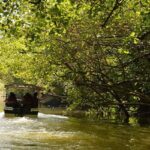 A boat sailing through a river