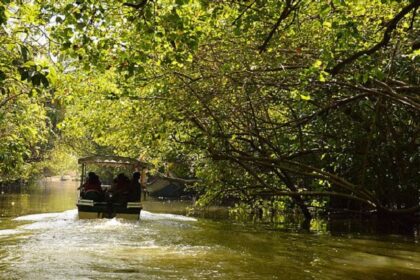 A boat sailing through a river