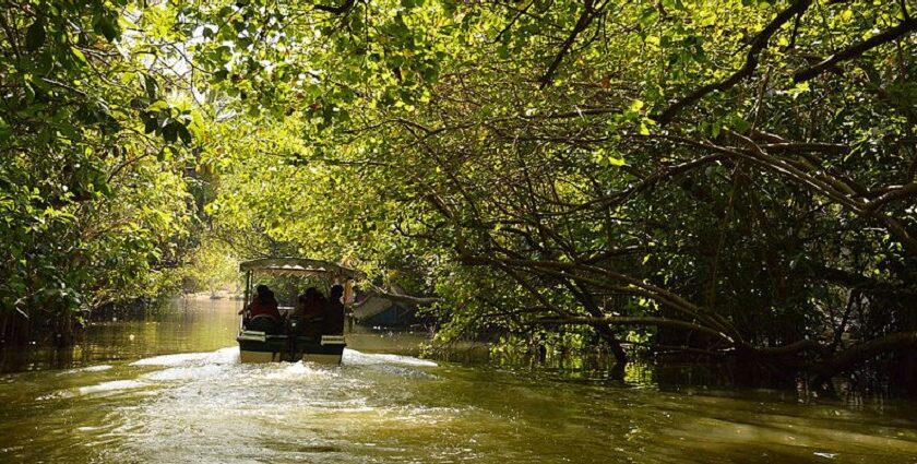 A boat sailing through a river