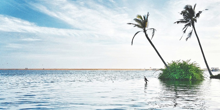 Idyllic Poovar Beach with golden sands and calm sea - one of the best beaches in Kerala