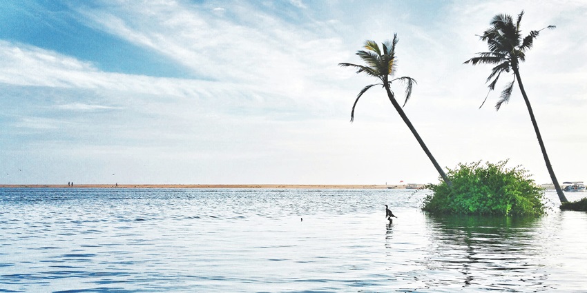 Poovar beach houses the best and most spectacular views on Poovar Island.