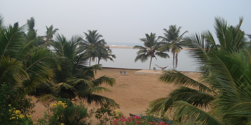 This estuary is a unique amalgamation of the river water and the sea water, framing an amazing view.