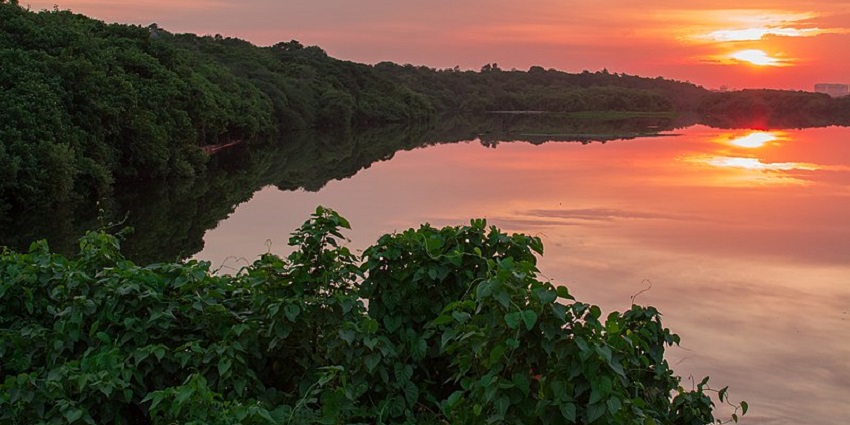 One of the most amazing things to do in Poovar