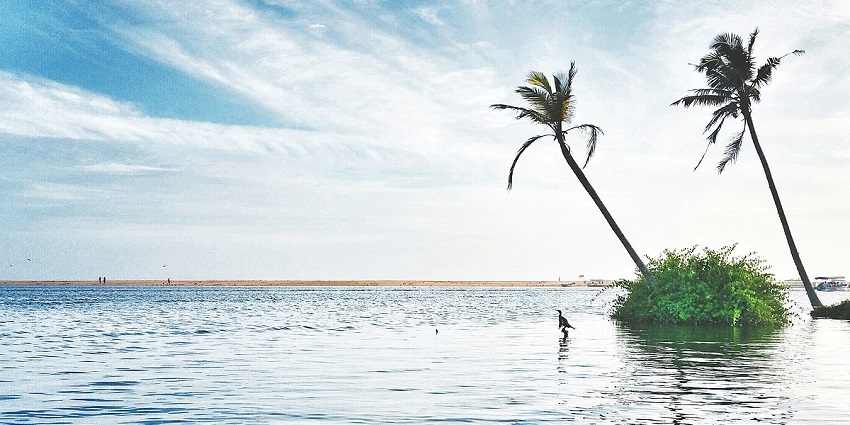 Explore one of the mesmerising islands of Poovar Island, a haven in Kerala, India.