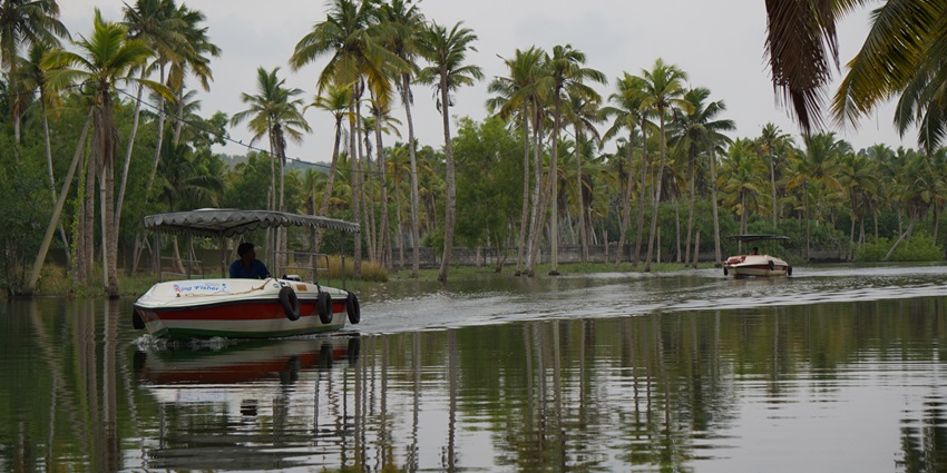 A serene backdrop amidst lush greenery and backwaters create a perfect Kerala picnic place