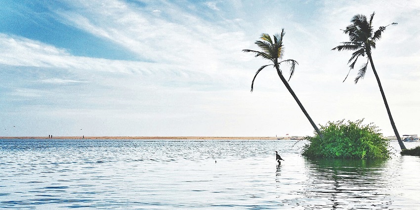Relax and watch the serene views at Poovar Island, one of the places to visit in Kovalam.