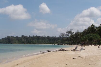 Enjoy a scenic vacation filled with breathtaking landscapes at the top beaches in Port Blair