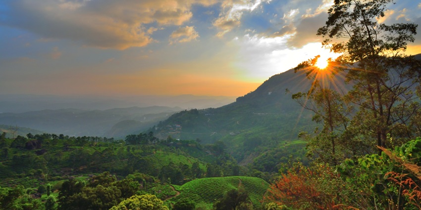 Enjoy the scenic lush green trek in the Pothamedu - Places to visit near Munnar