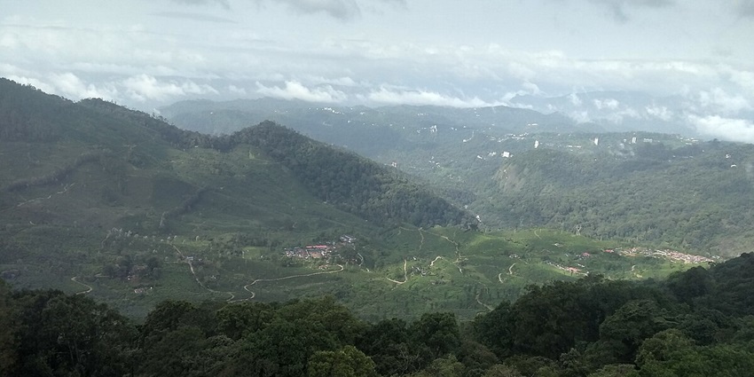 Clear view of resort amidst forest from Pothamedu, one of the places to visit in Munnar
