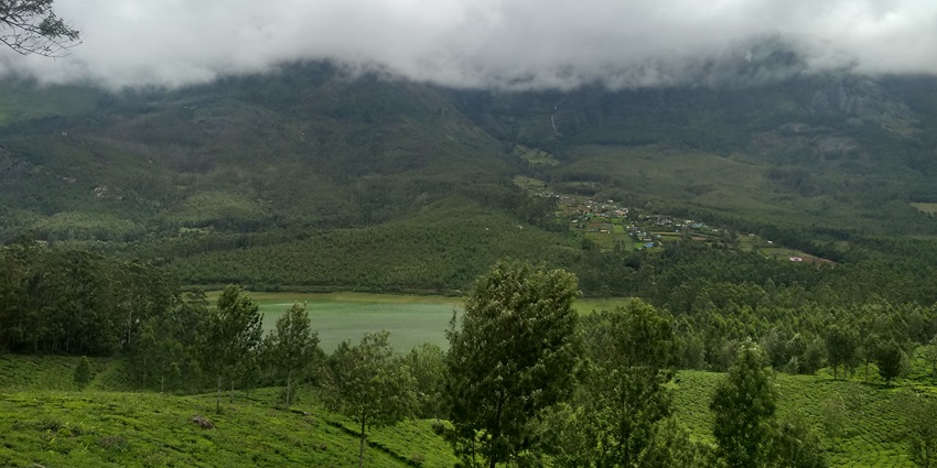A stunning lush green view of the viewpoint in Munnar, one of the best places to visit.
