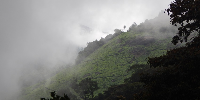 Misty mountains of Pothamedu viewpoint, perfect place to visit in munnar in may for an escape