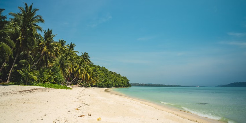 One of the best things to do in Andaman in December is visiting Havelock Island.