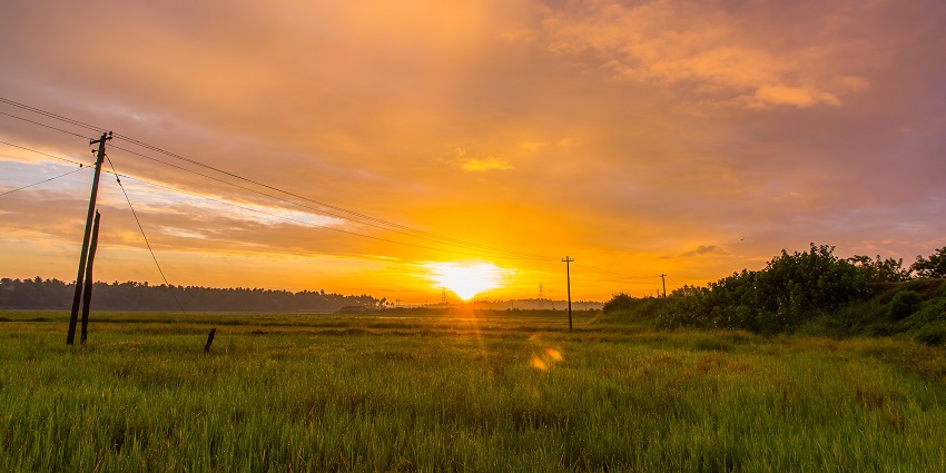 With spectacular wildlife and religious value, Pullumedu attracts the tourists of Gavi.
