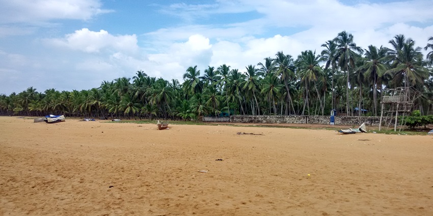 A beautiful beach with palm trees in the background