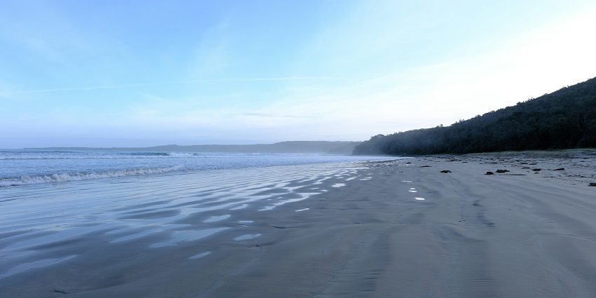 A mesmerising view of the pristine sands and shimmering waters of Puthuvype Beach.