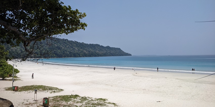 A stunning view of a white sandy beach in Havelock with turquoise waters and tall trees