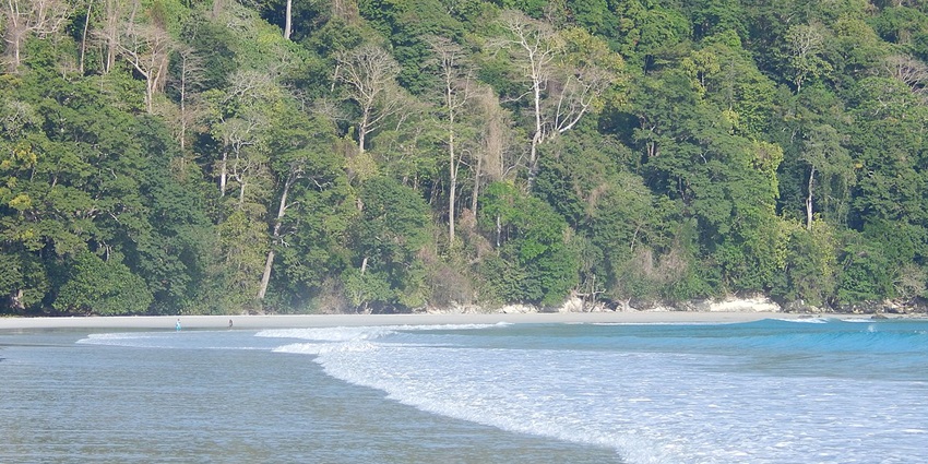 View of Radhanagar Beach with clear blue water - best for Kayaking in Havelock Island