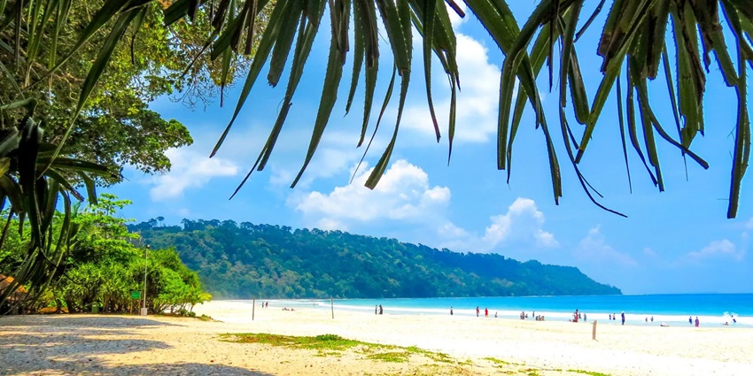 Radhanagar Beach is one of the top spots for snorkelling as the water is calm here