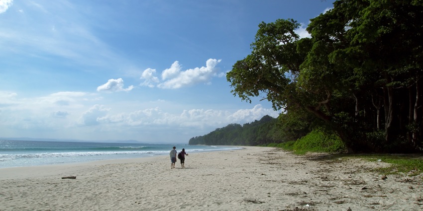 Beautiful view of Radhanagar Beach which is one of the best places to visit in Havelock