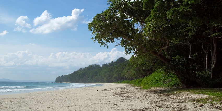 Radhanagar beach during the day - one of the best places to visit in Andaman for honeymoon.