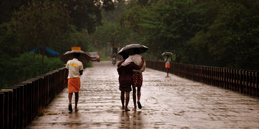 Rain, adding to the vibrant vibe of Neriamangalam Waterfalls, can be enjoyed in the serenity.
