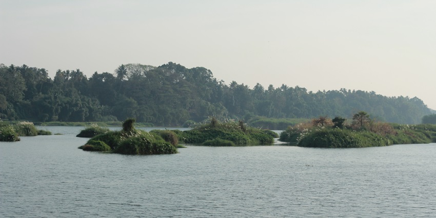 Tiny islands on River Periyar viewed from Manjaly Kadavu near Kalady, Kerala–private islands in kerala