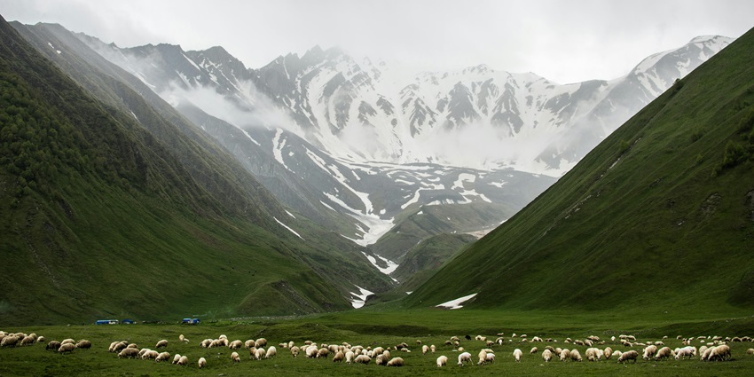 Rajgundha Valley is one of the best places to visit in Bir amidst the Himalayan ranges. Viewers of this file can see comments and suggestions