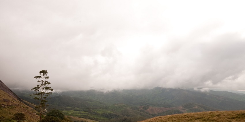 Exploring Rajmala Hills is one of the best Chinnar Wildlife Sanctuary activities to enjoy.