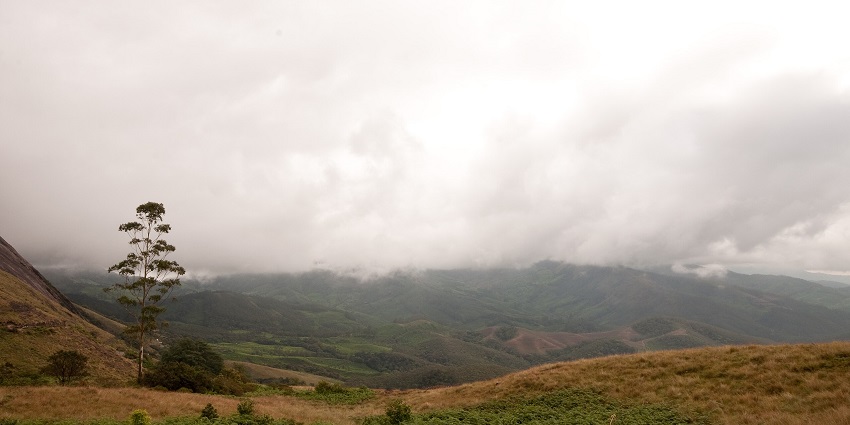 Misty landscapes and hills of Rajmala, one of the best places to visit in Munnar for couples