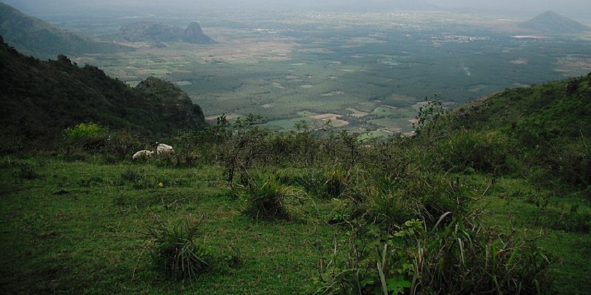 Lush green hill stations near Kannur