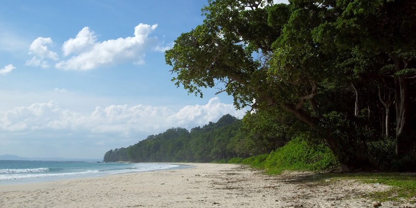 Waves gently crashing on the peaceful and pristine shore of Ramnagar Beach.