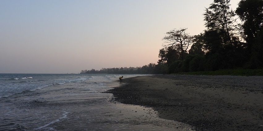 Spot turtles, volcanic rocks, and witness mesmerising vistas at the Rangat Island.