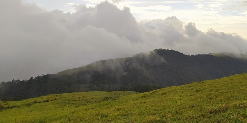 Lush fields of Ranipuram looking over the fog covered mountains offering a panoramic view