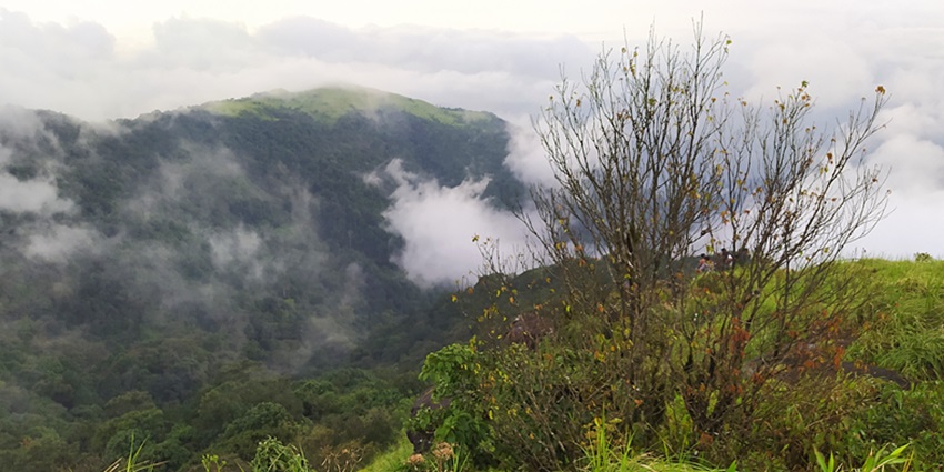 -Ranipuram hill station is one of the best hill stations near Varkala for a quick escape