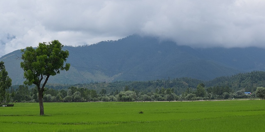 An image of Kupvara near Lolab Valley, which is one of the places to visit near Bungus Valley.