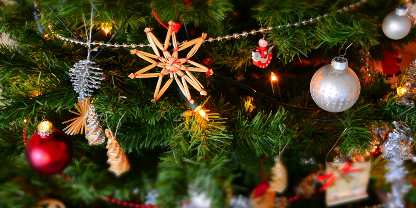 Begin the new year with a blast as you celebrate an array of festivities in Andaman.